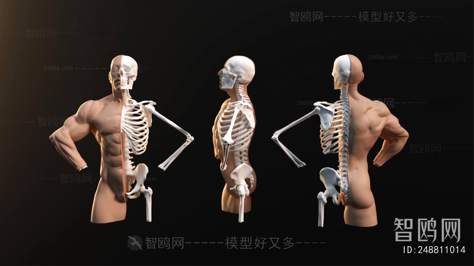 Modern Medical Equipment