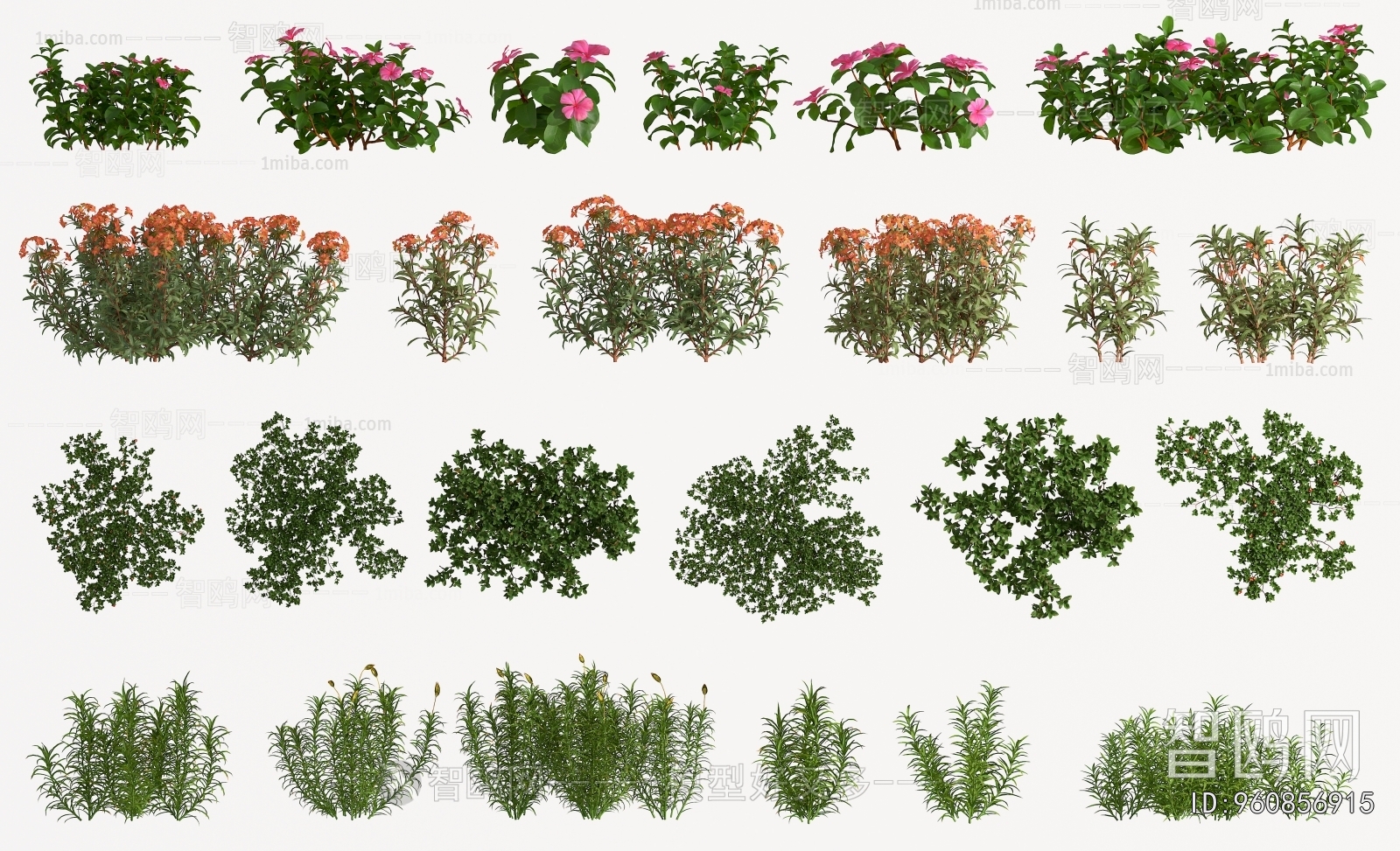 Modern Flowers And Grass