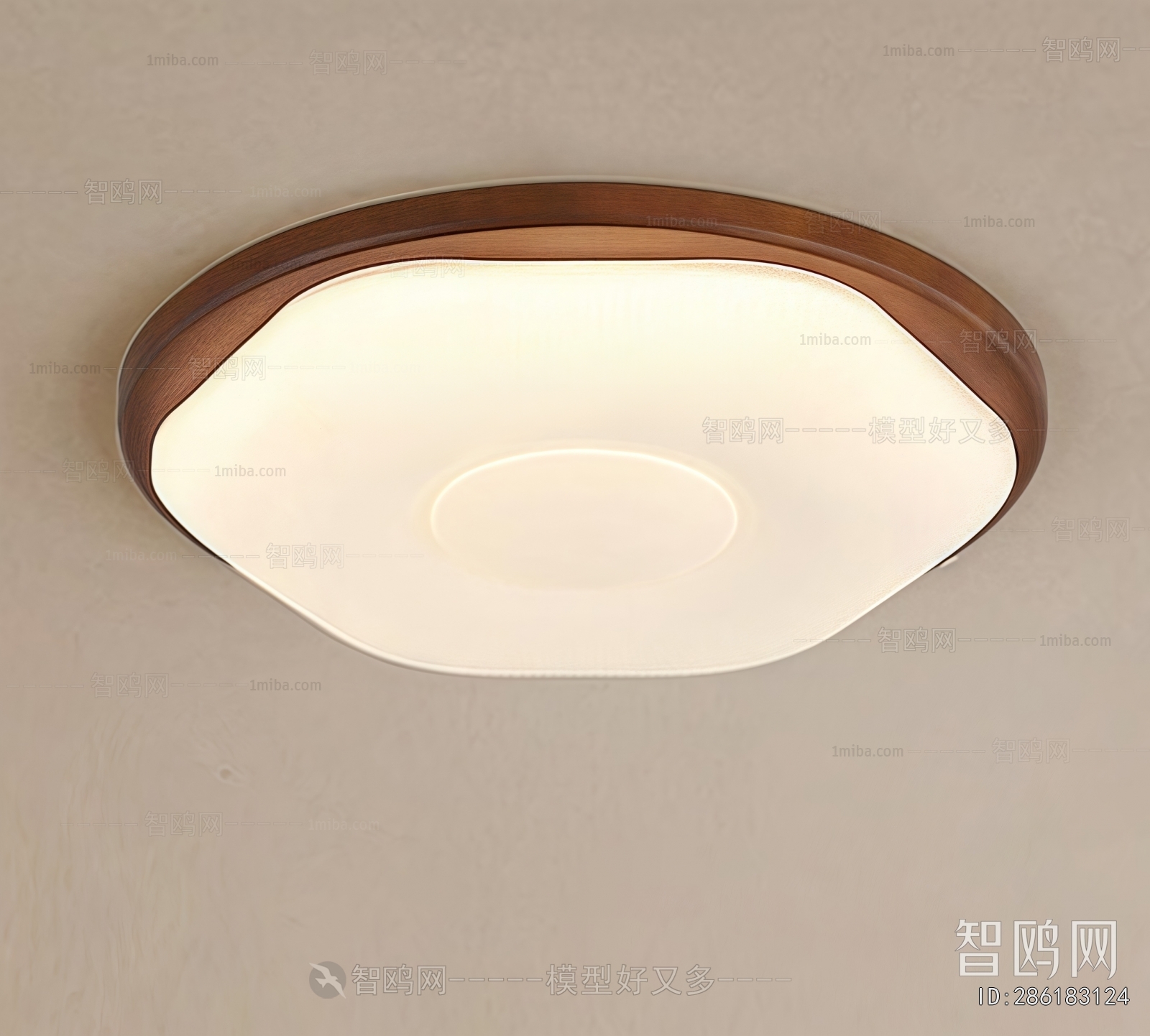 Modern Ceiling Ceiling Lamp