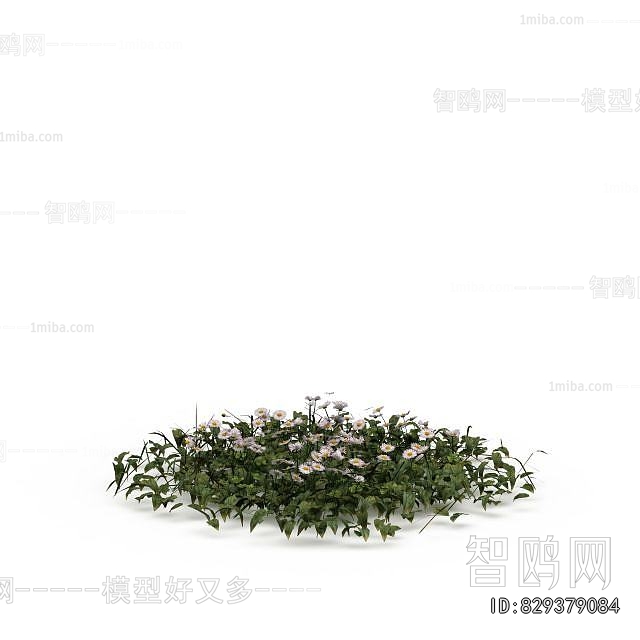 Modern Flowers And Grass