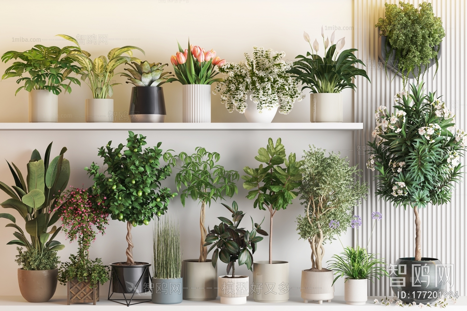 Modern Ground Green Plant Potted Plants