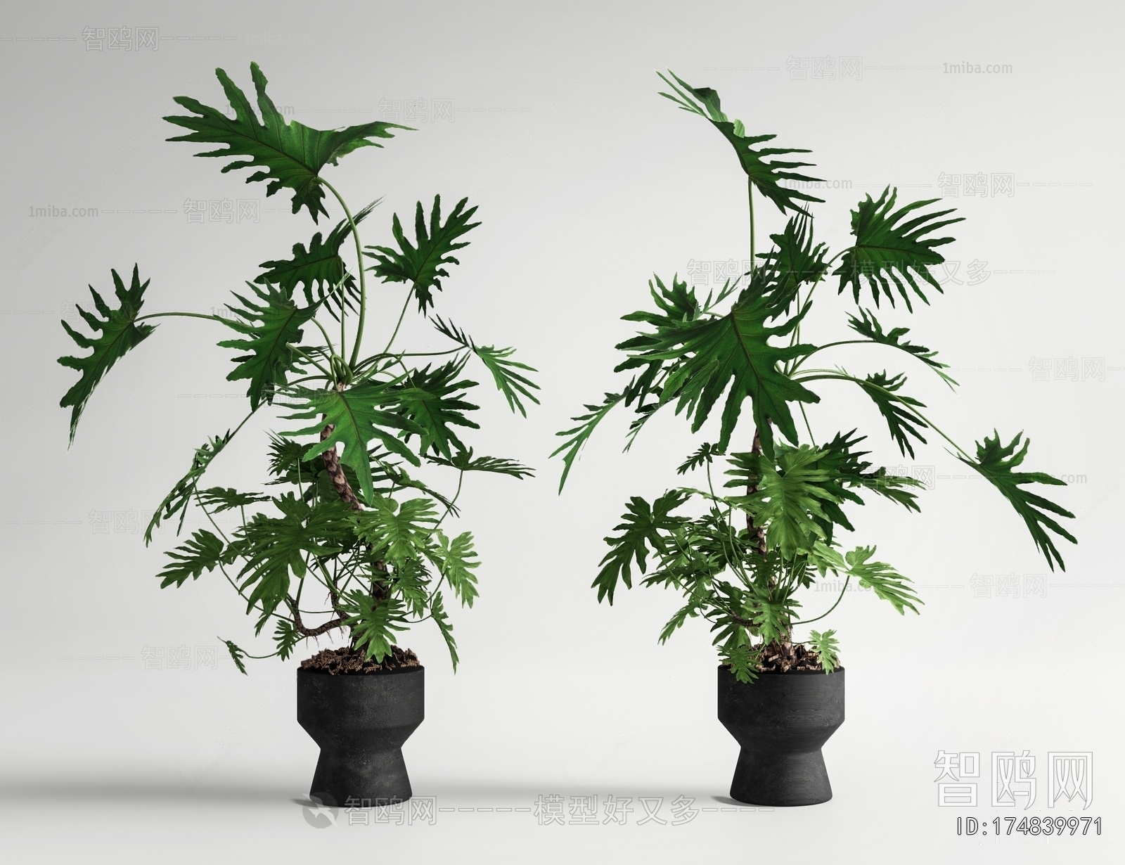 Modern Ground Green Plant Potted Plants