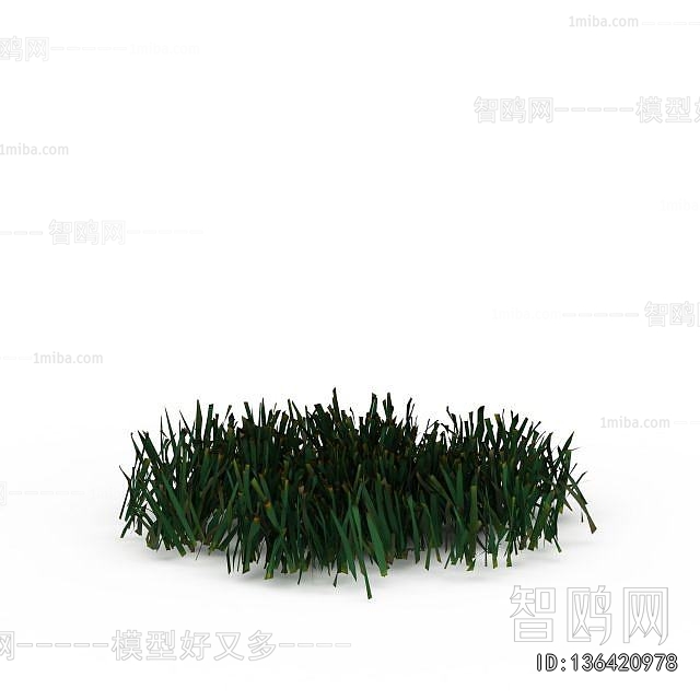 Modern The Grass
