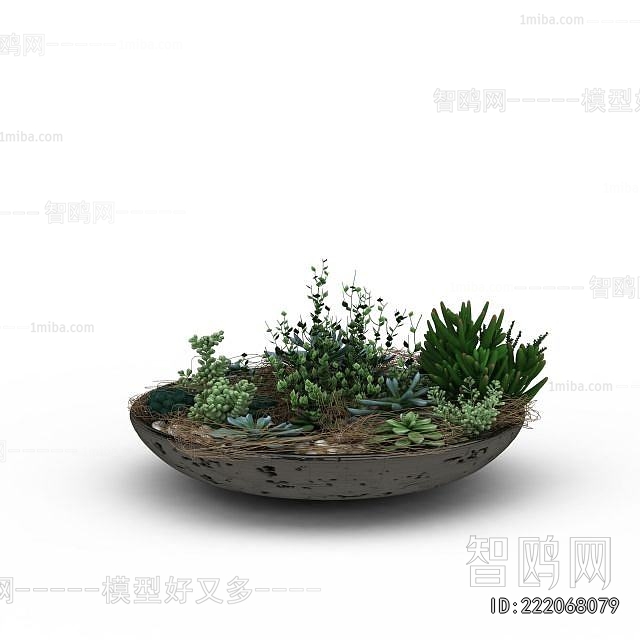 Modern Flower Bed, Flower Bowl, Flower Box
