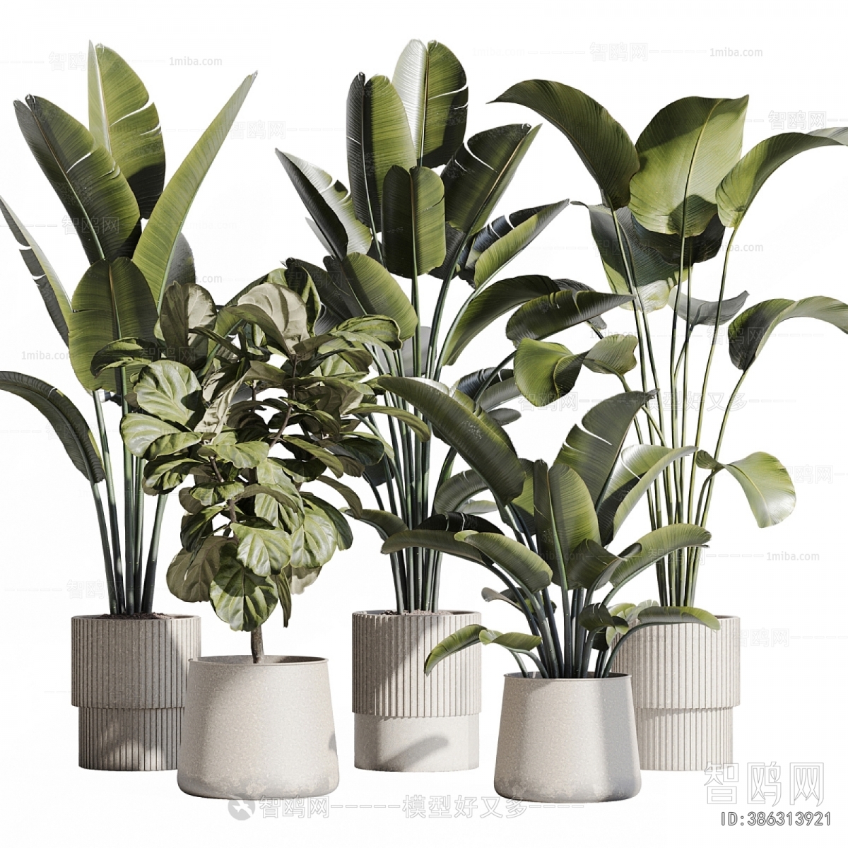 Modern Ground Green Plant Potted Plants