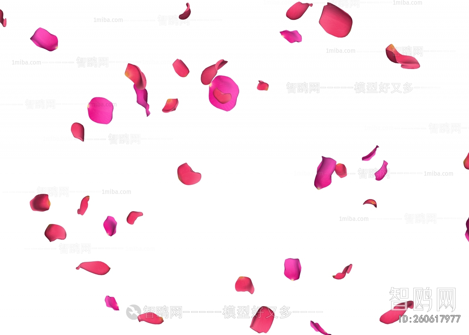 Modern Flowers And Grass