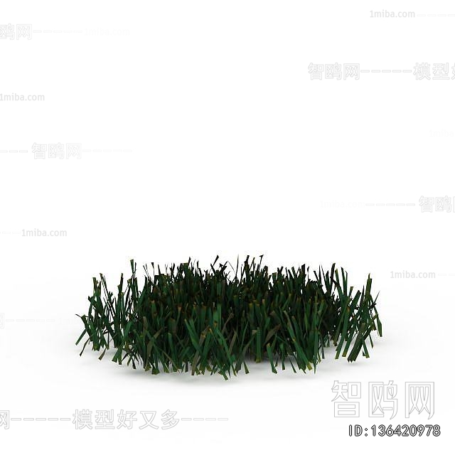 Modern The Grass