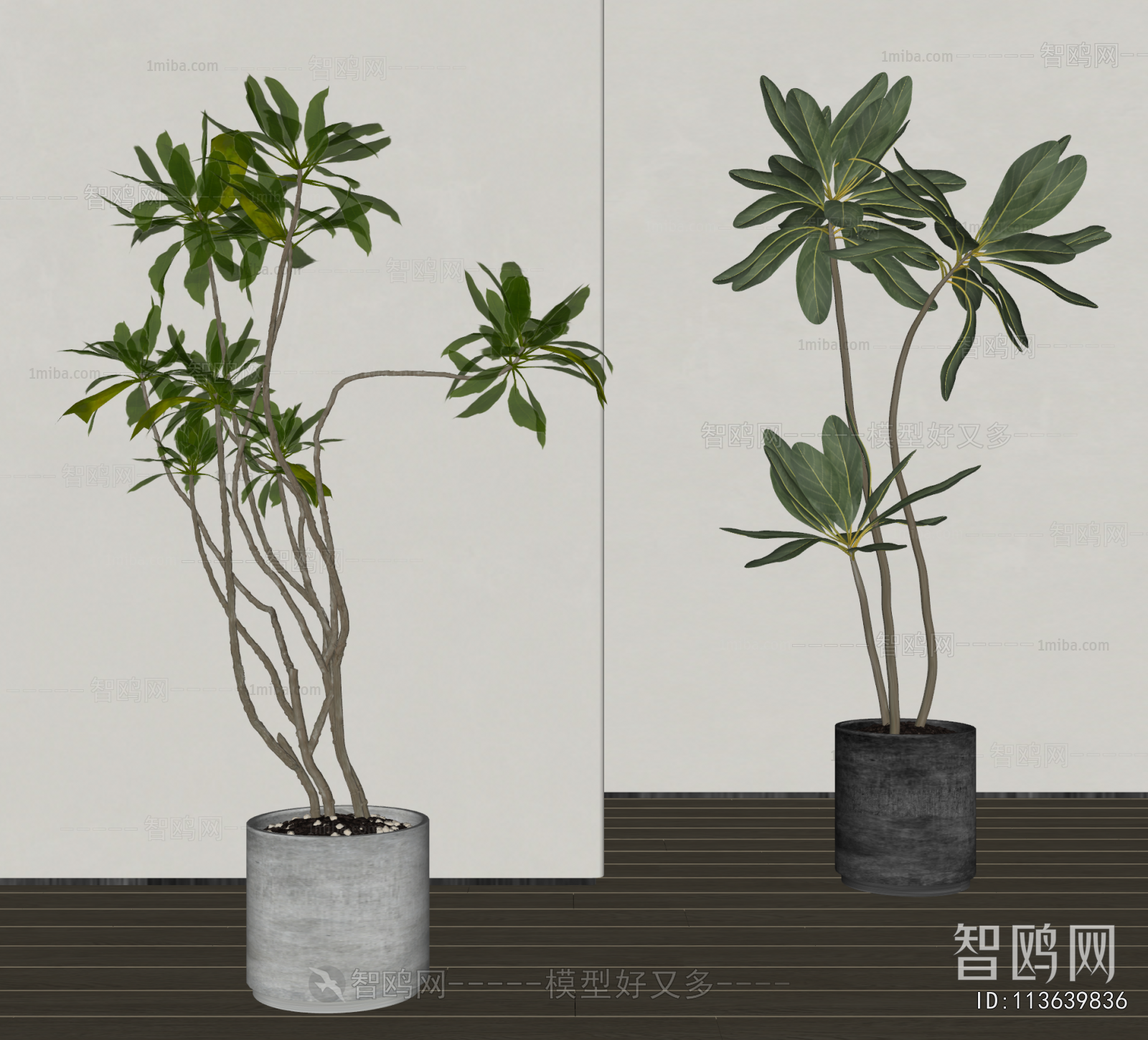 Modern Ground Green Plant Potted Plants