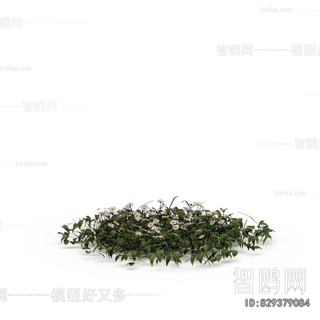 Modern Flowers And Grass