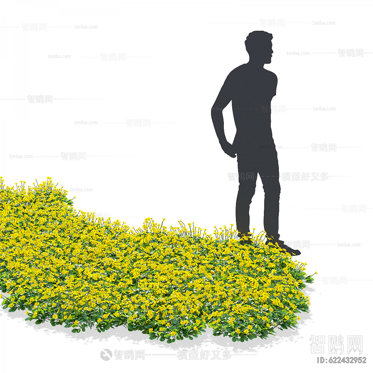 Modern Flowers And Grass