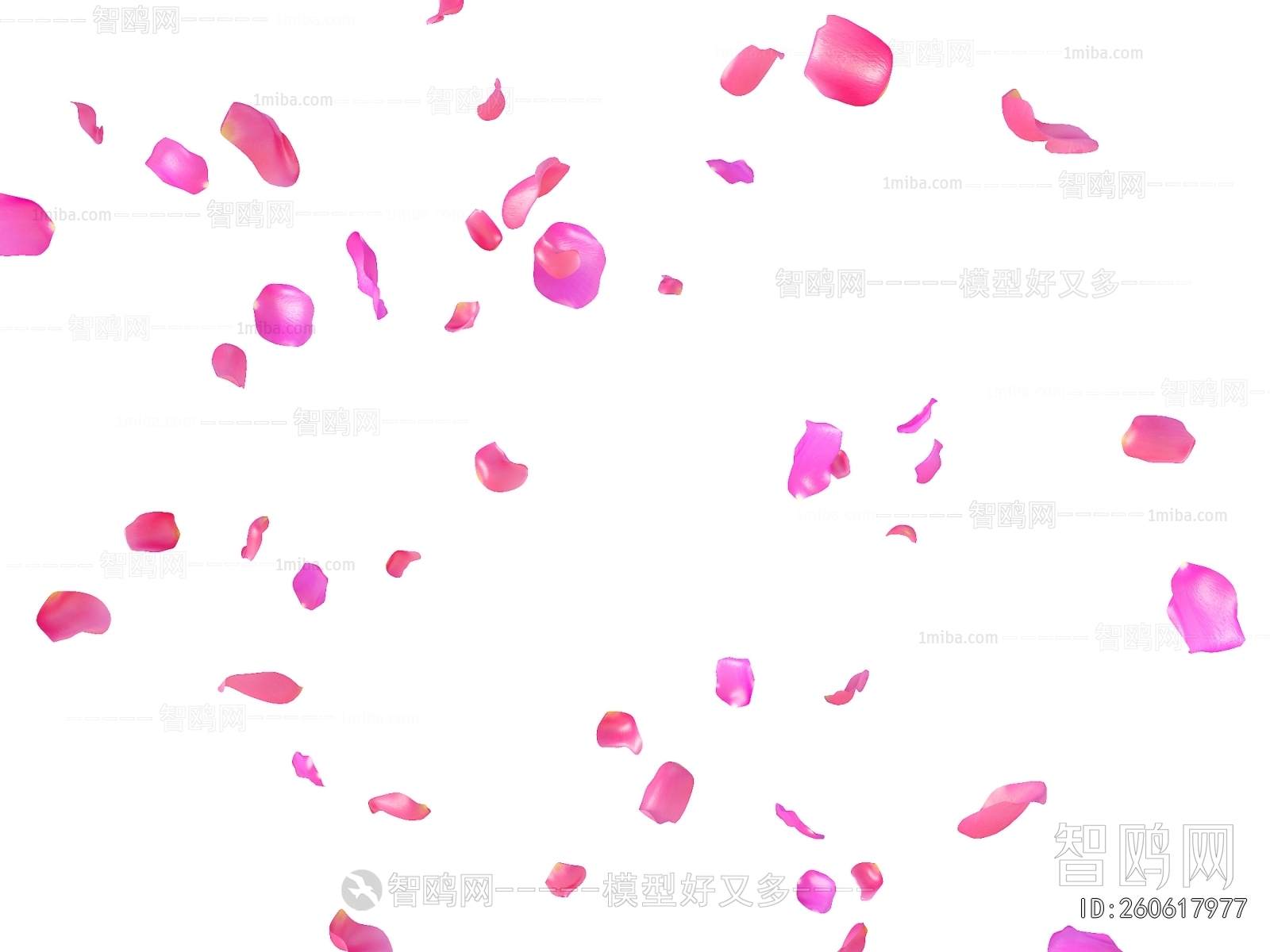 Modern Flowers And Grass