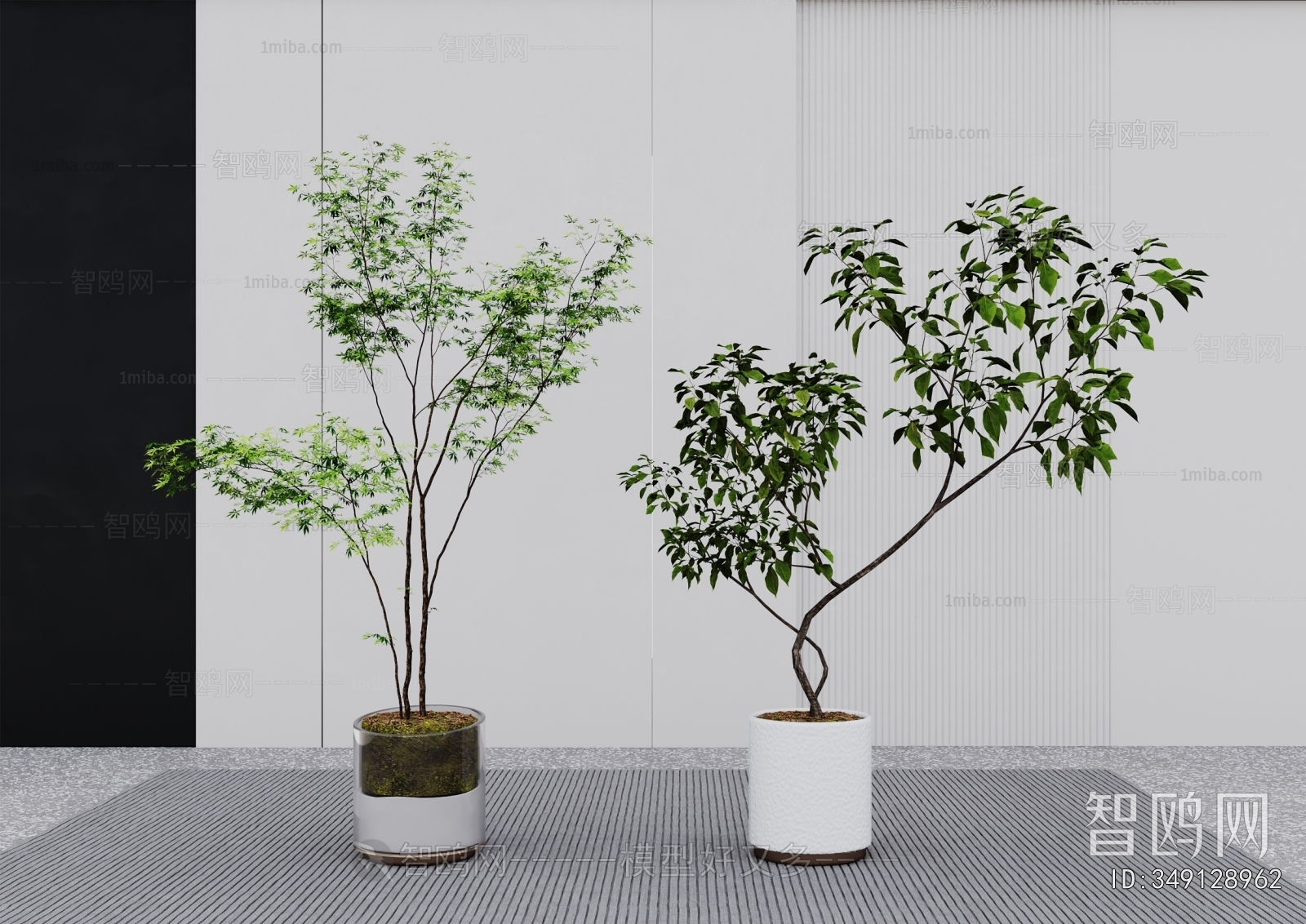 Modern Ground Green Plant Potted Plants