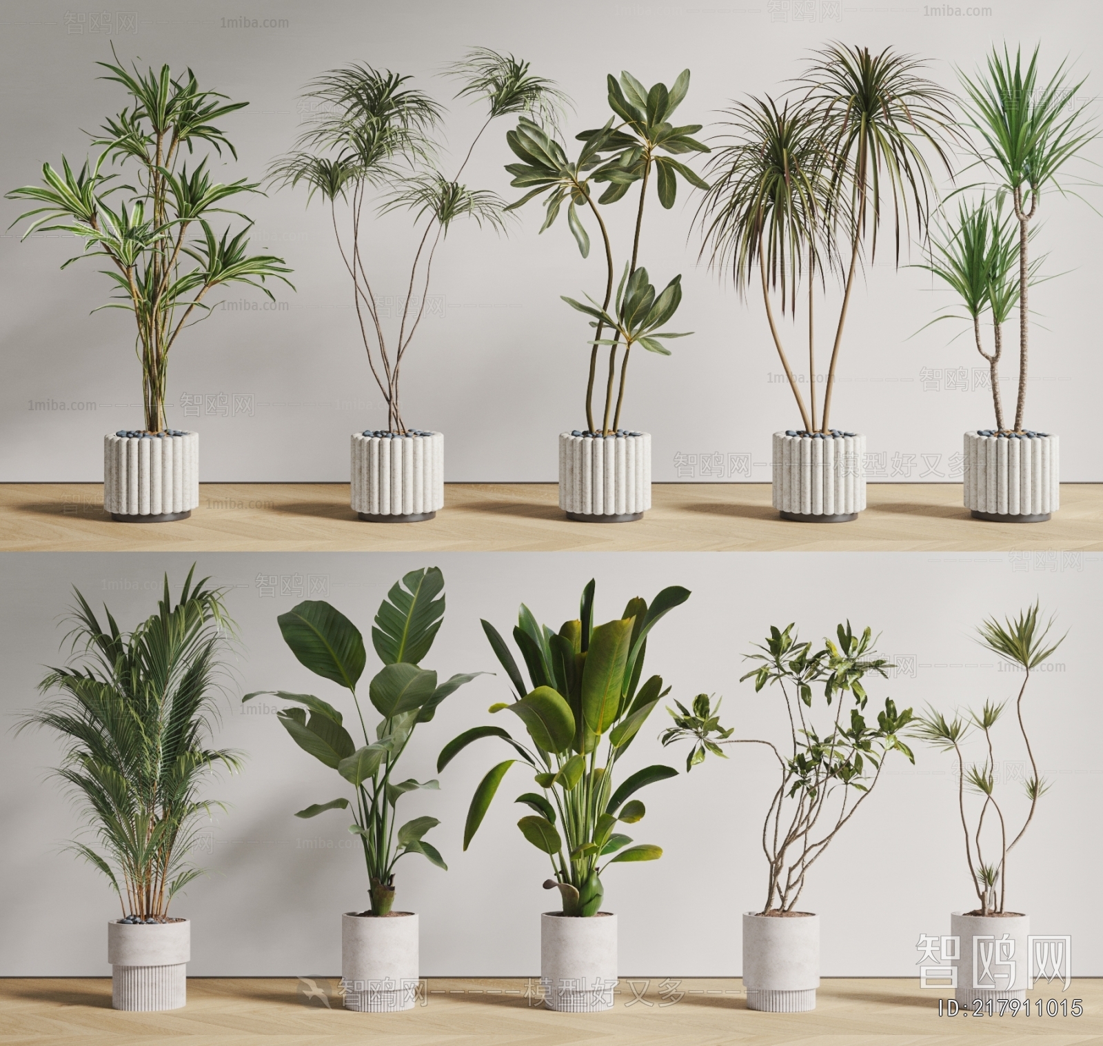 Modern Ground Green Plant Potted Plants