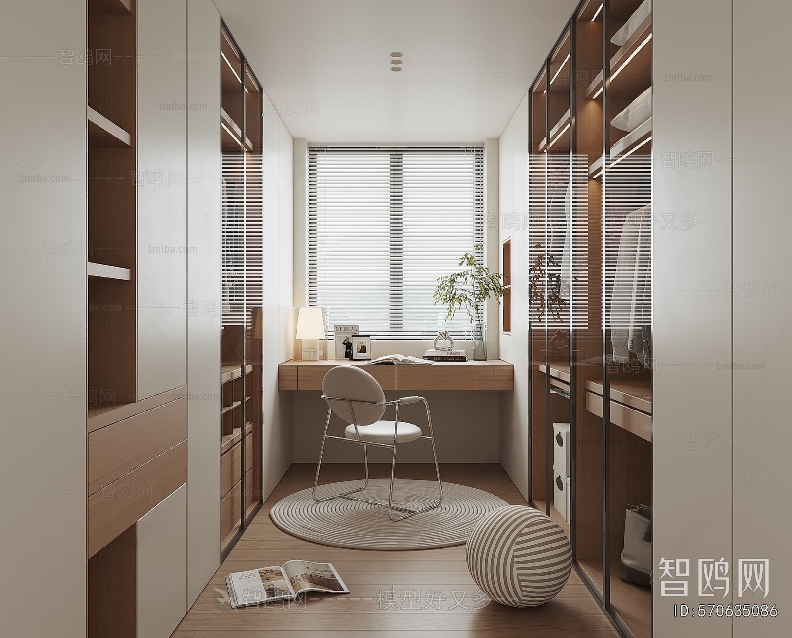 Modern Clothes Storage Area