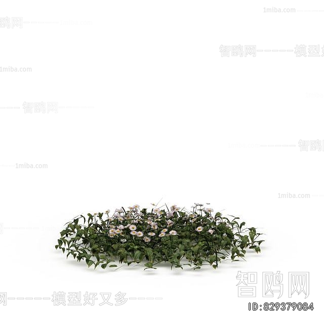 Modern Flowers And Grass