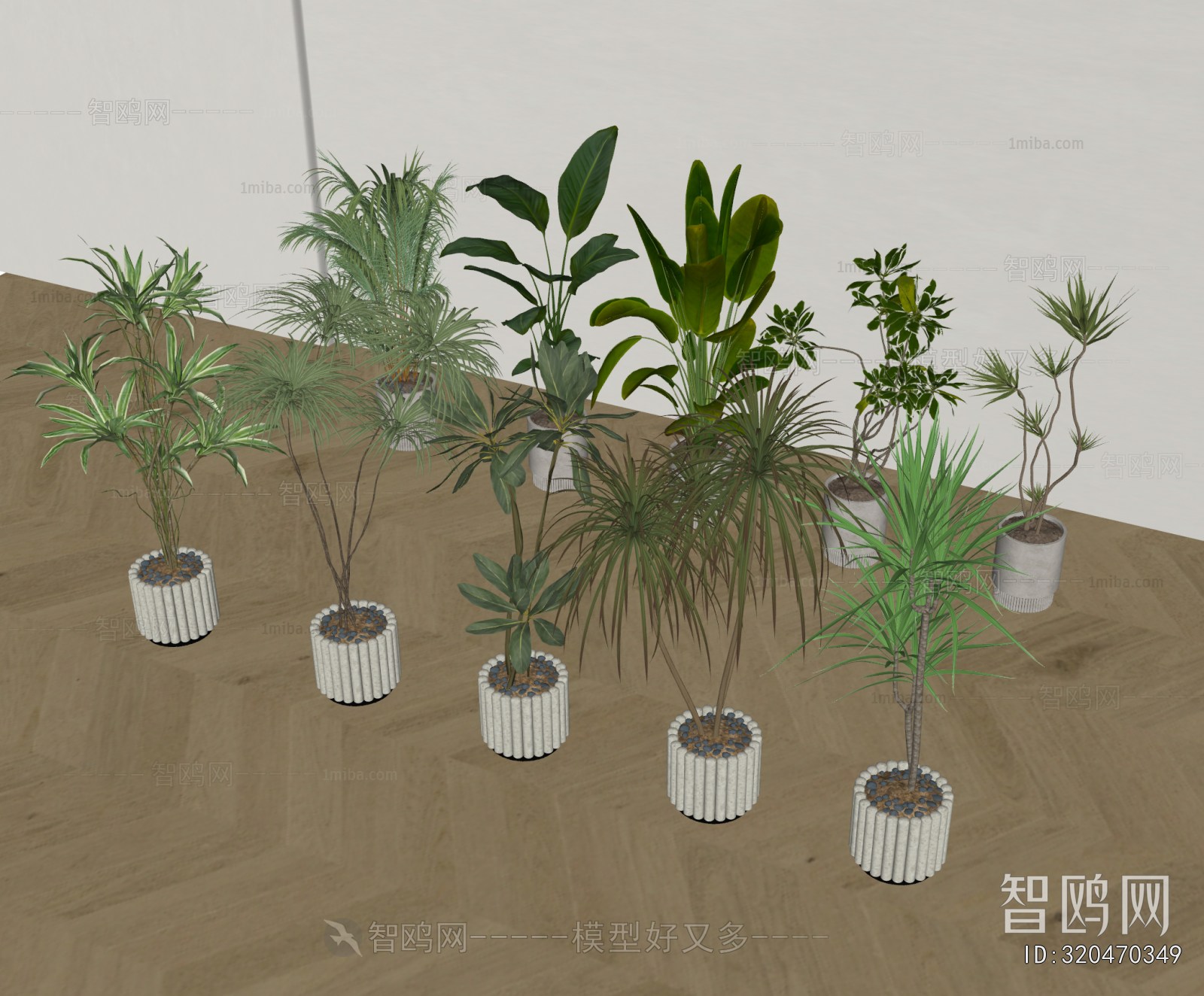 Modern Ground Green Plant Potted Plants