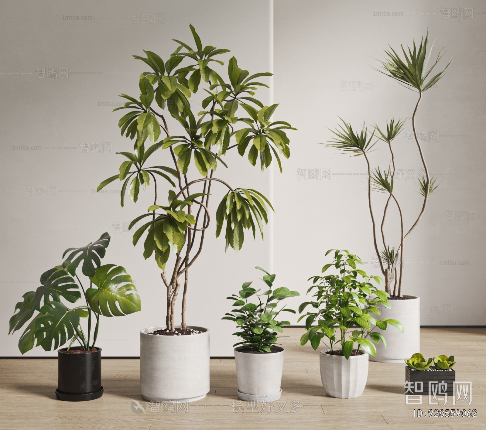 Modern Ground Green Plant Potted Plants