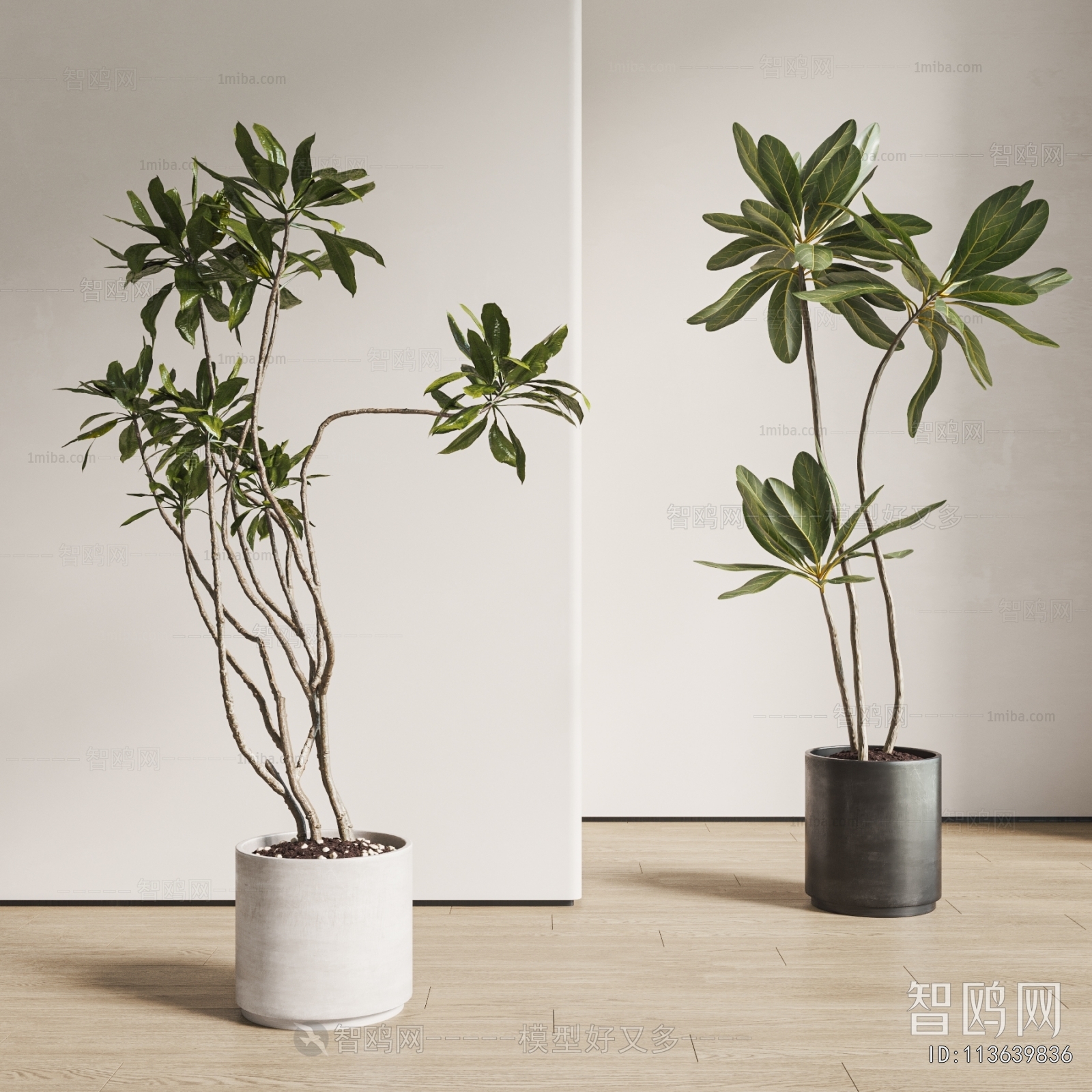 Modern Ground Green Plant Potted Plants