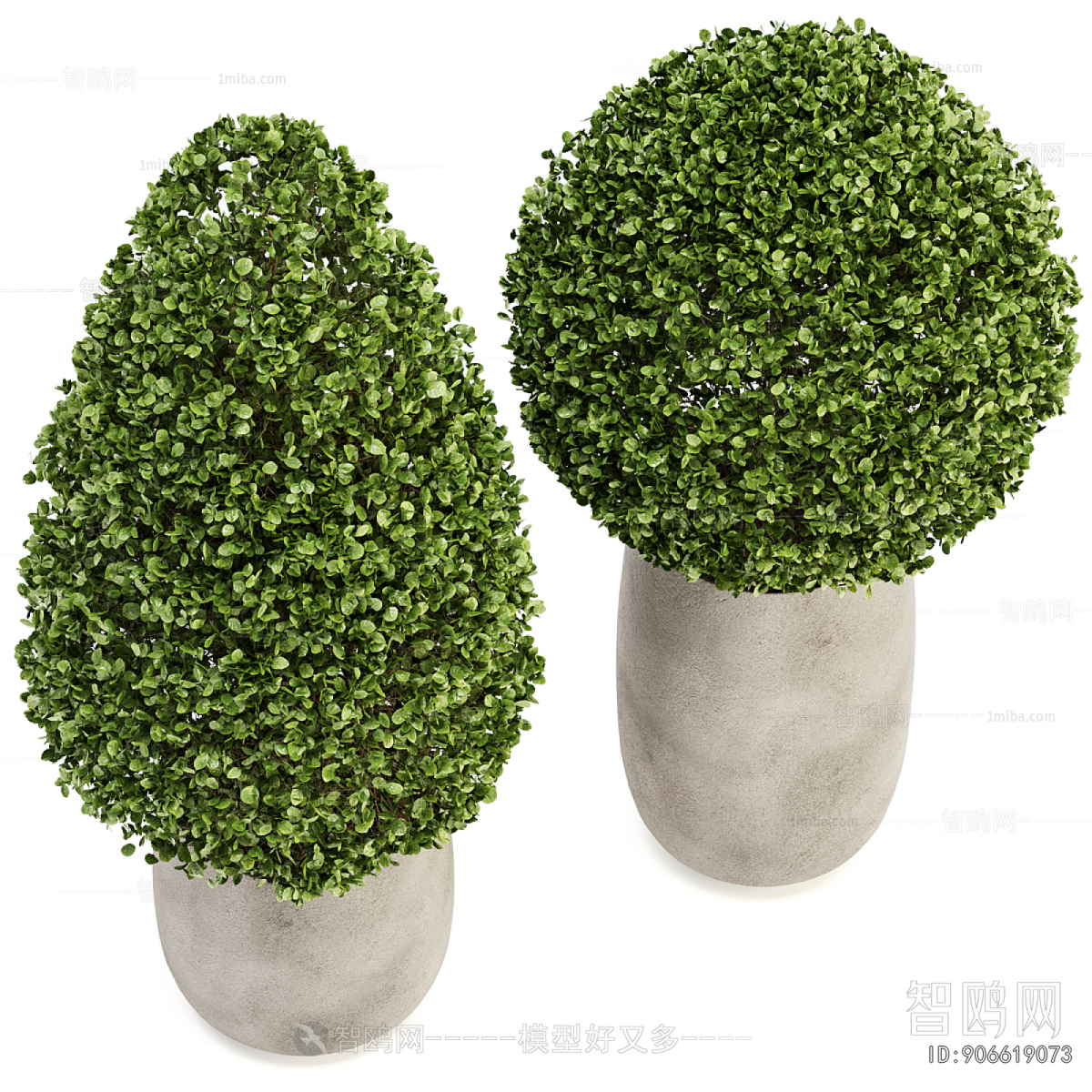 Modern Ground Green Plant Potted Plants