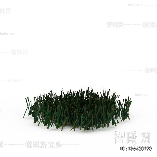 Modern The Grass