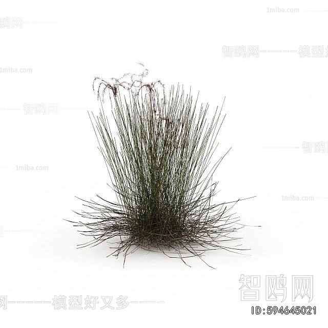 Modern Tree/shrub/grass