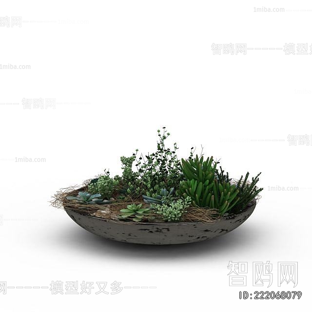 Modern Flower Bed, Flower Bowl, Flower Box