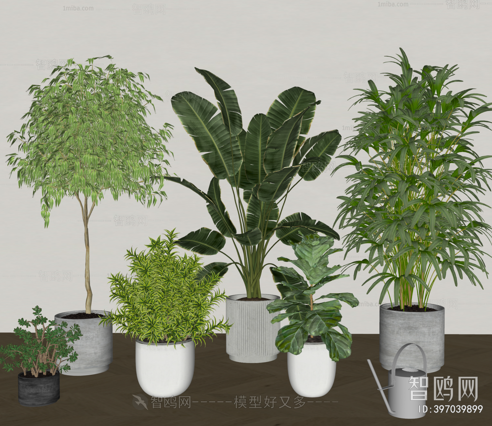 Modern Ground Green Plant Potted Plants
