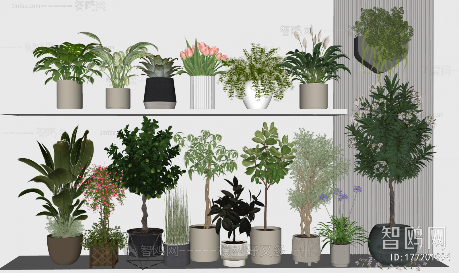 Modern Ground Green Plant Potted Plants