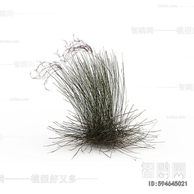 Modern Tree/shrub/grass