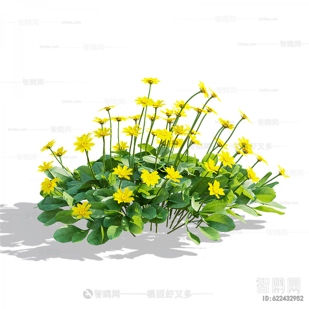 Modern Flowers And Grass