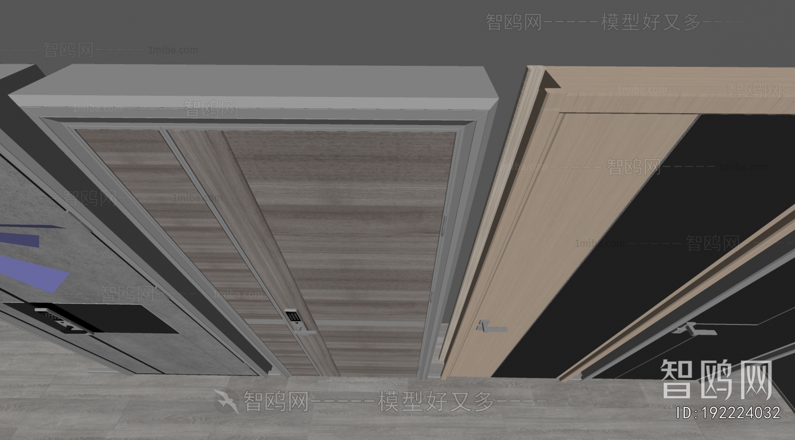 Modern Entrance Door