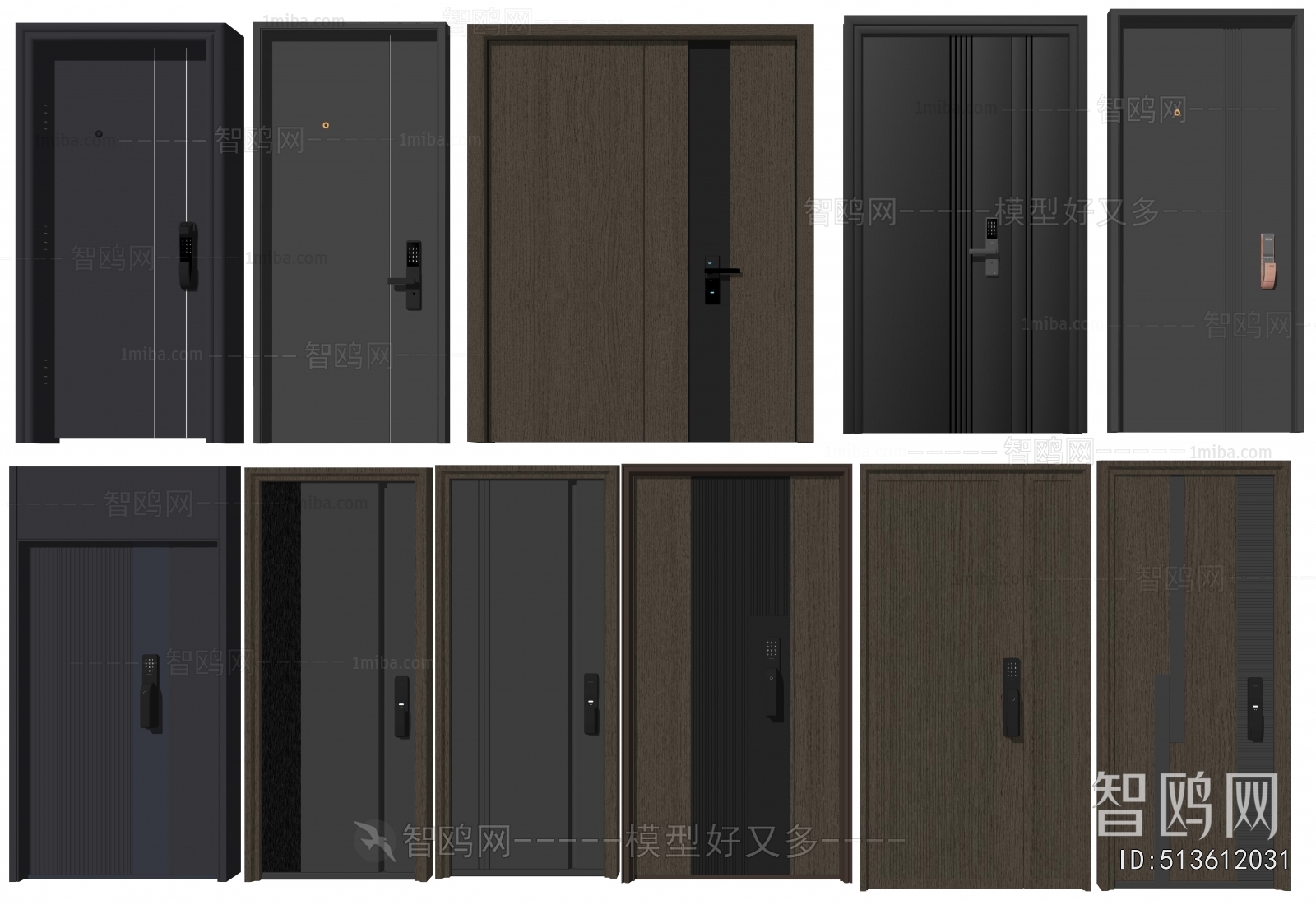 Modern Entrance Door