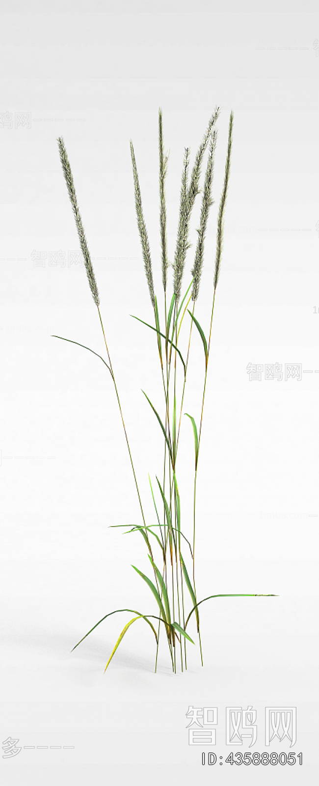 Modern The Grass