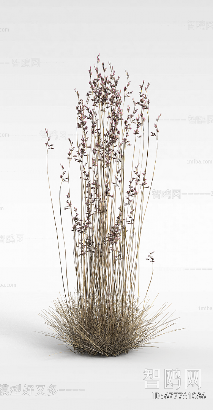 Modern Flowers And Grass