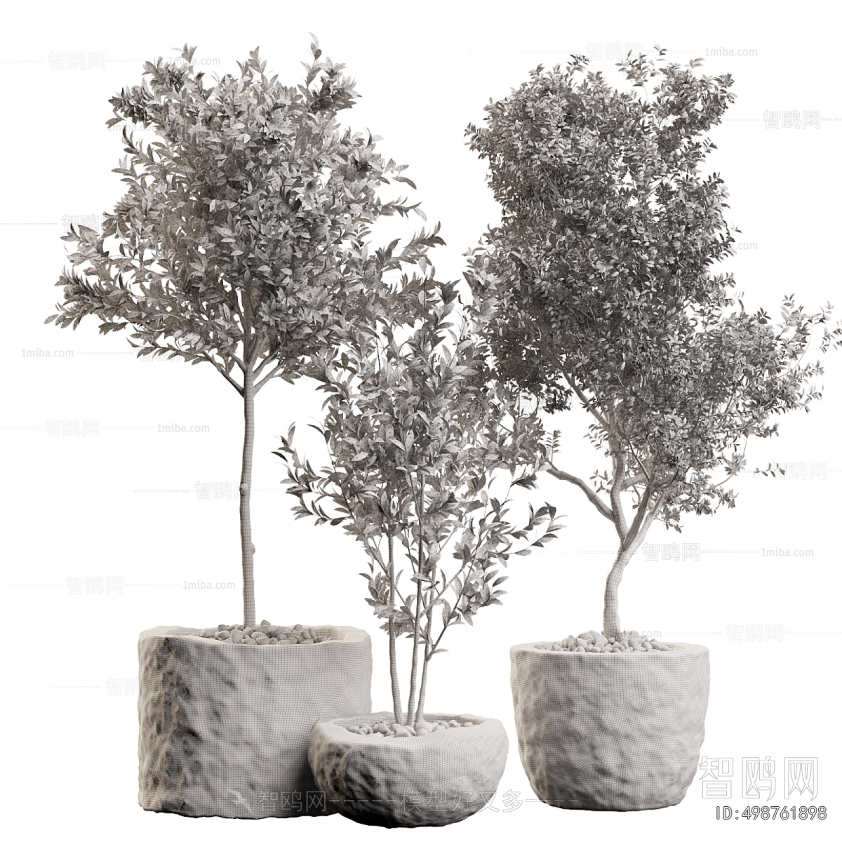 Modern Ground Green Plant Potted Plants
