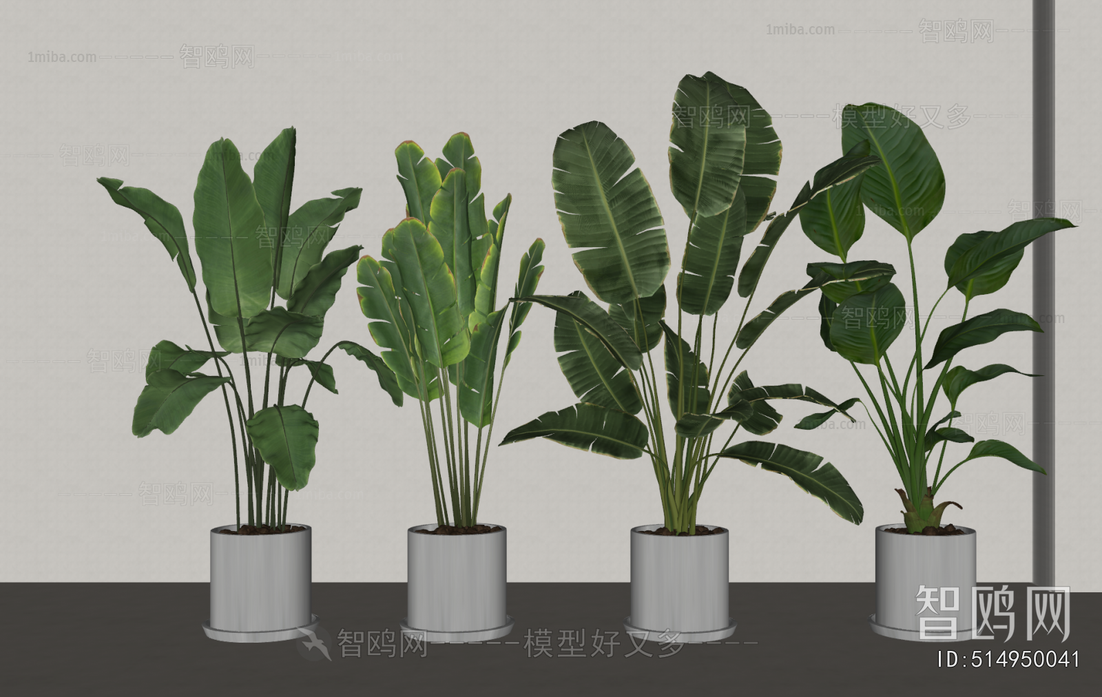 Modern Ground Green Plant Potted Plants