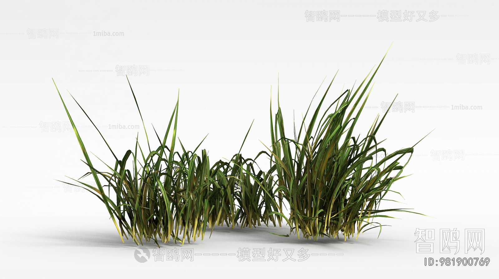 Modern The Grass