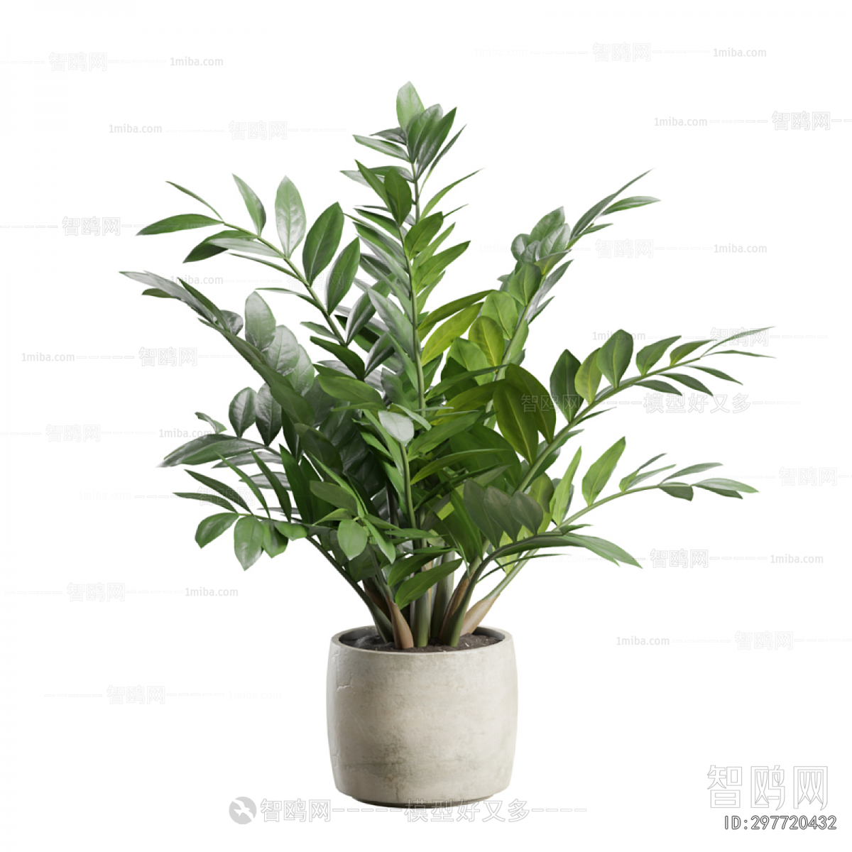 Modern Ground Green Plant Potted Plants