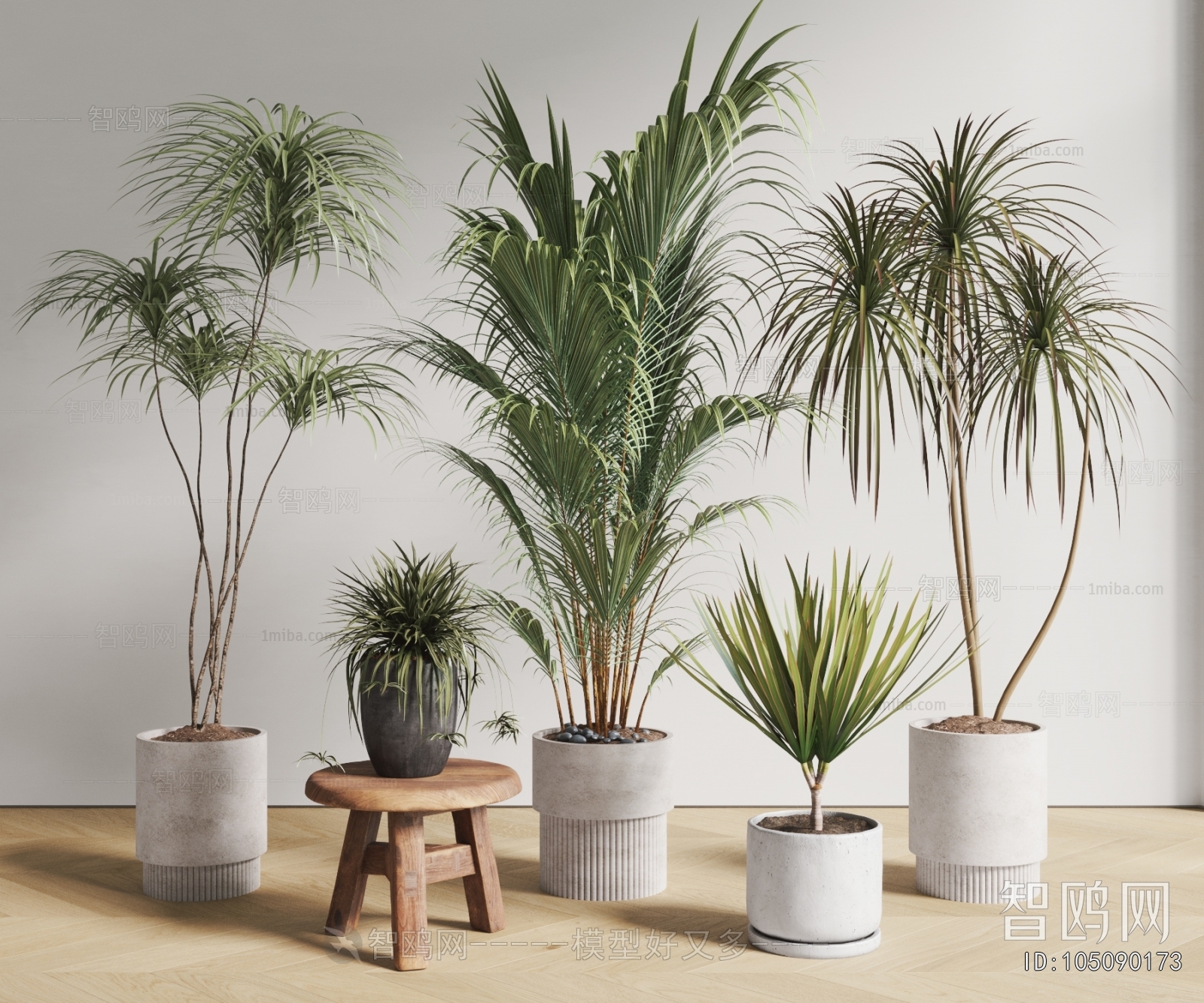 Modern Ground Green Plant Potted Plants