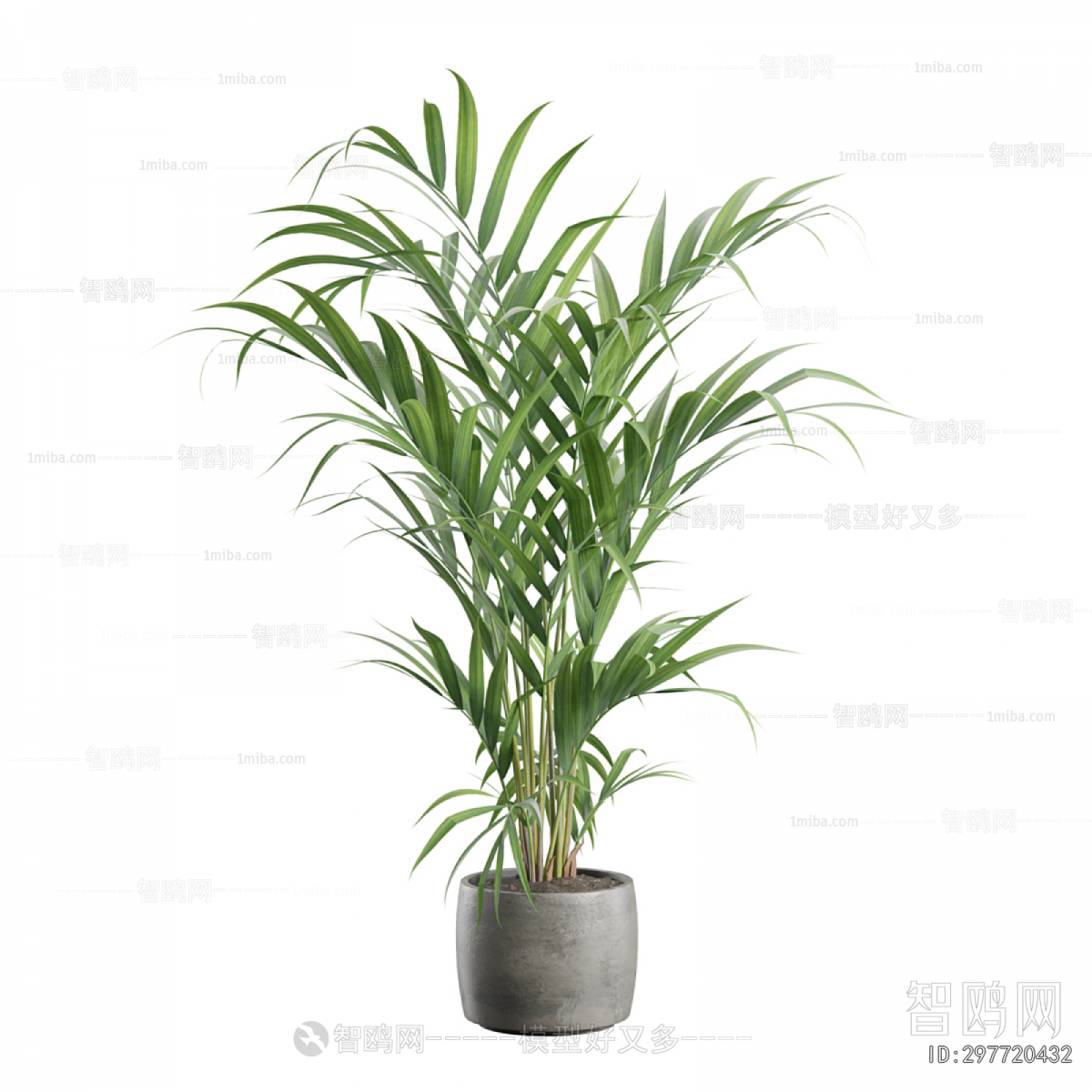 Modern Ground Green Plant Potted Plants