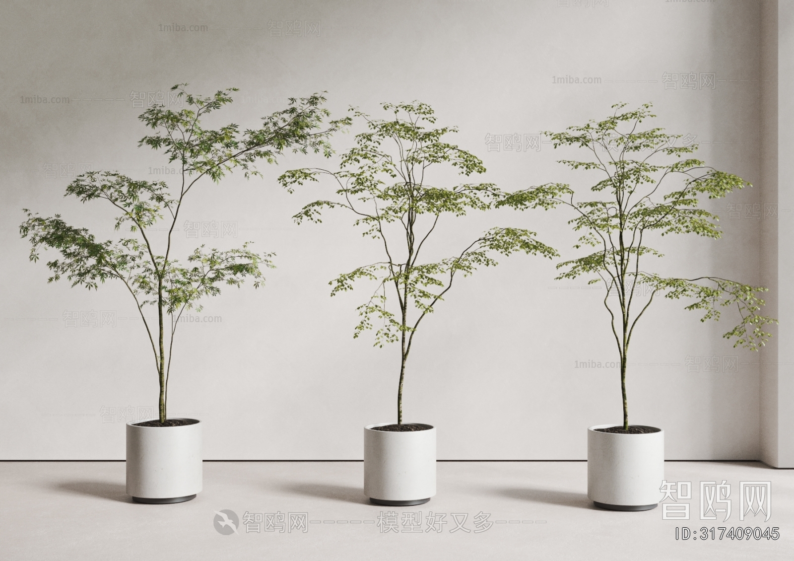 Modern Ground Green Plant Potted Plants