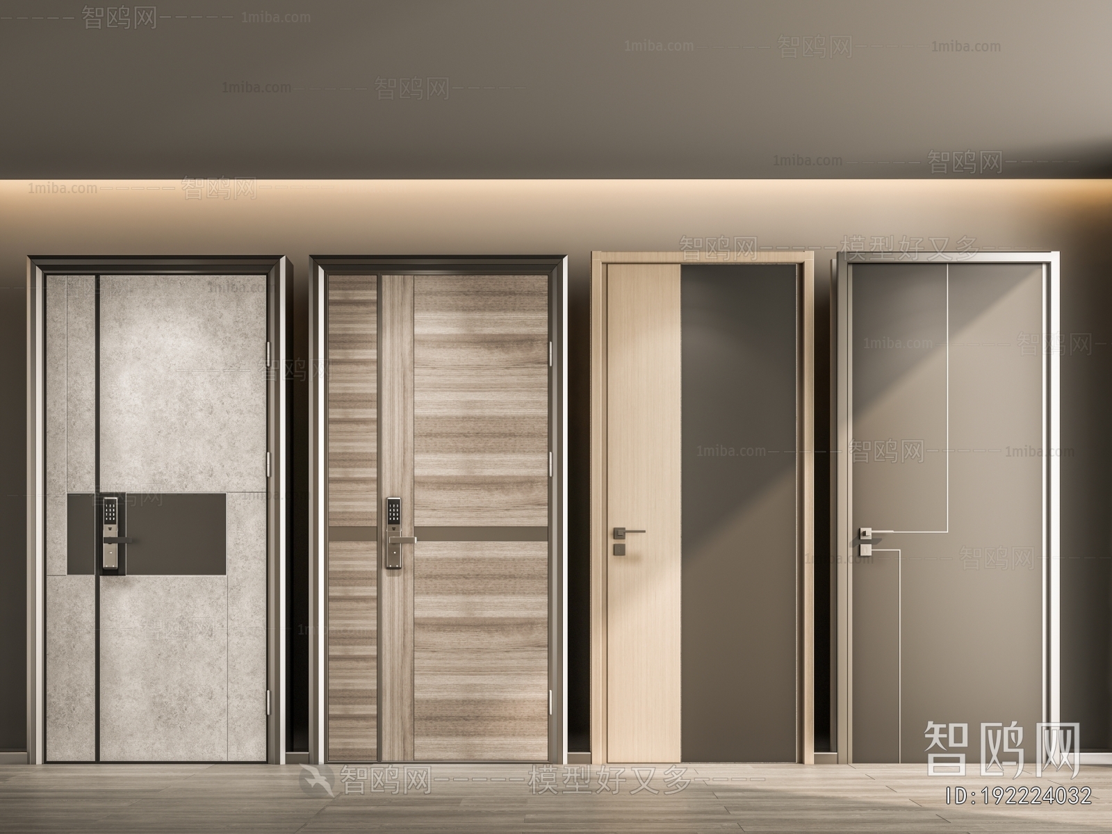 Modern Entrance Door