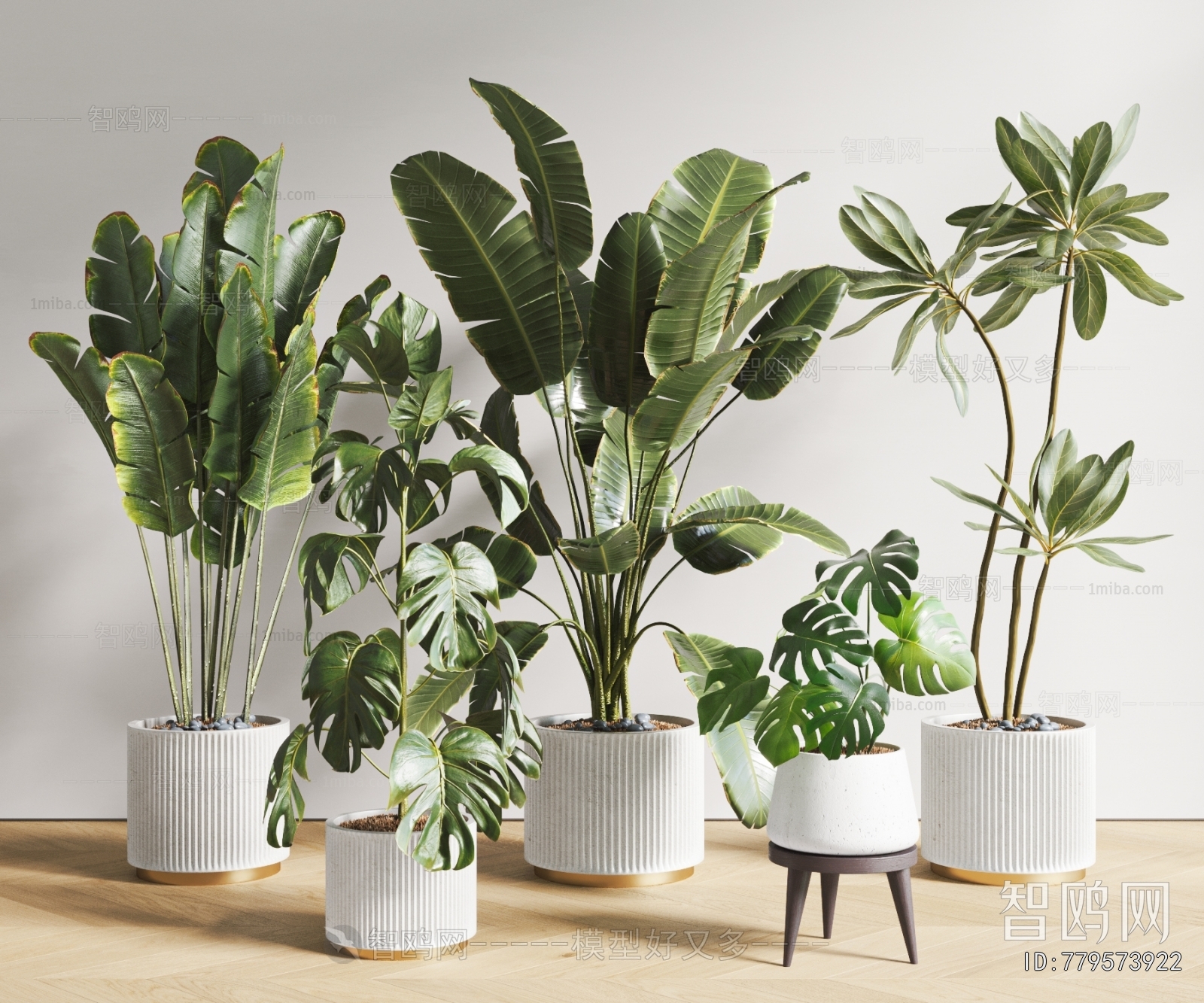 Modern Ground Green Plant Potted Plants