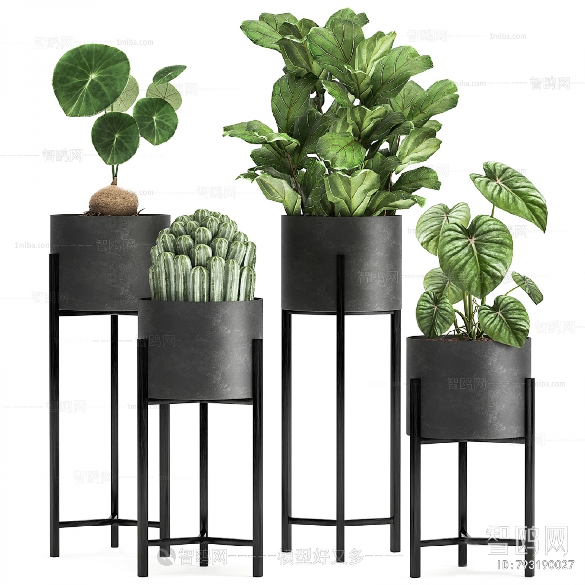 Modern Potted Green Plant