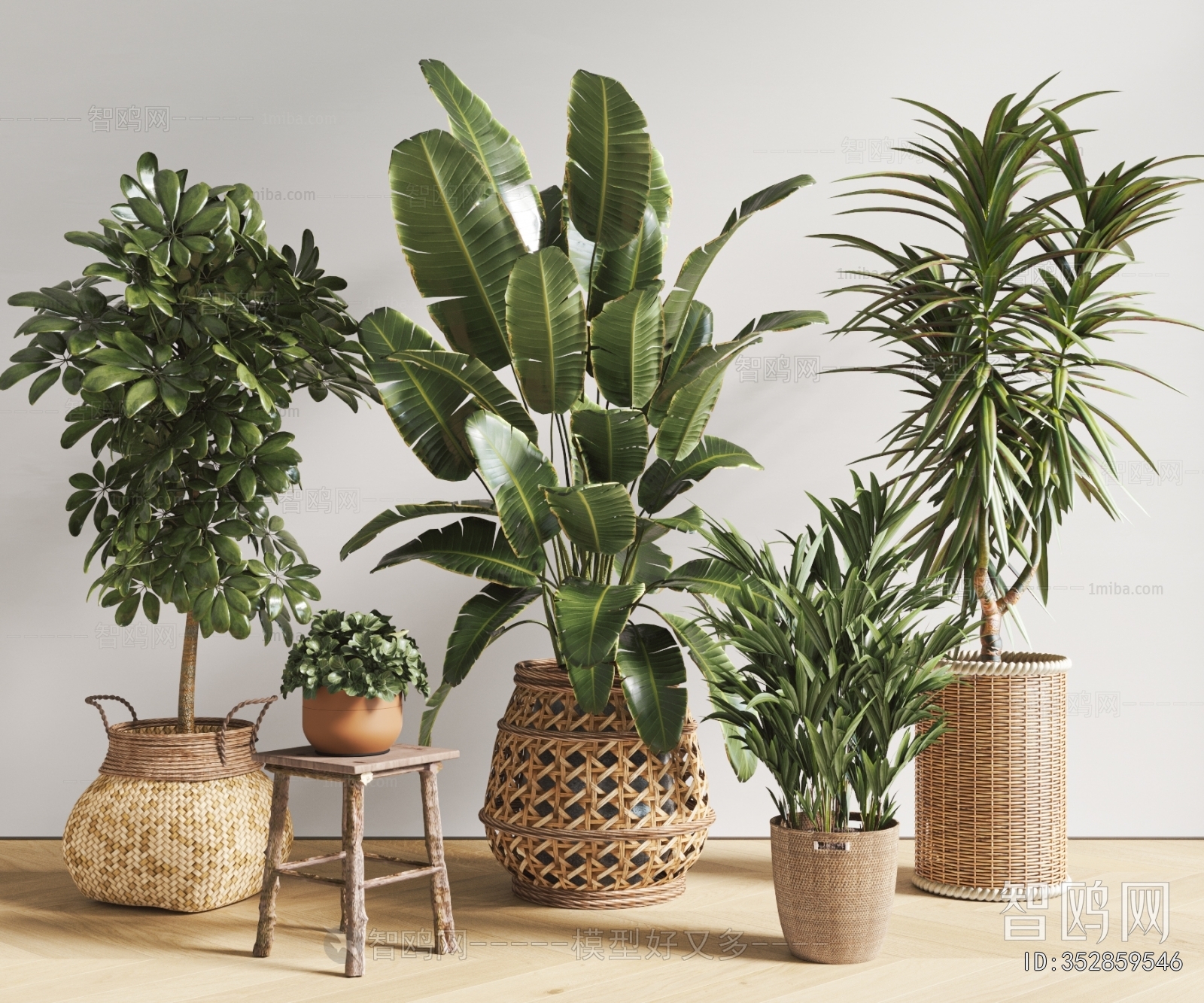 Modern Ground Green Plant Potted Plants