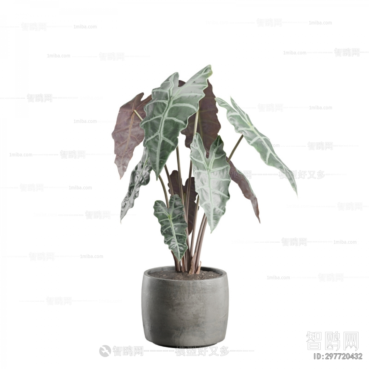 Modern Ground Green Plant Potted Plants