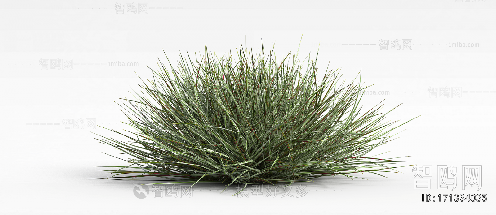 Modern The Grass