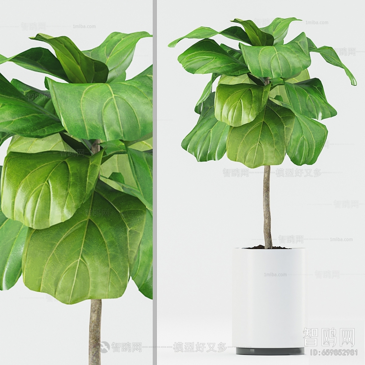 Modern Ground Green Plant Potted Plants