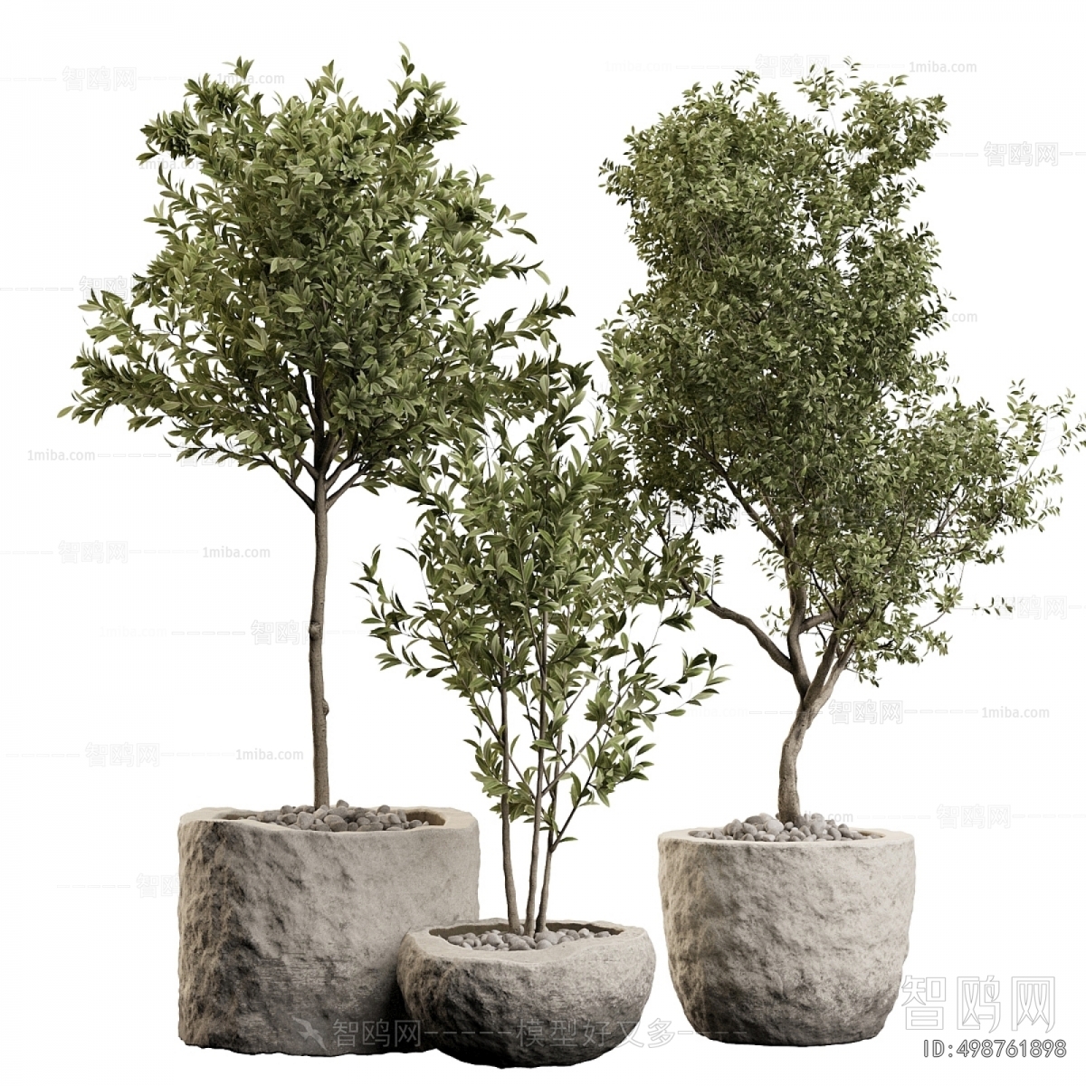 Modern Ground Green Plant Potted Plants