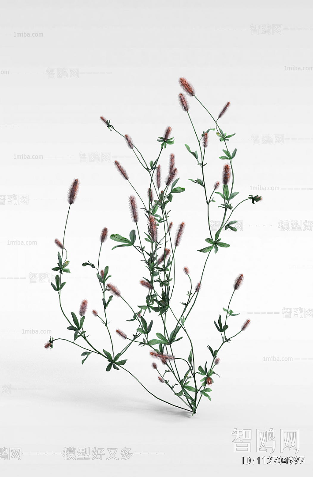 Modern Flowers And Grass